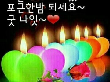 ◆ 인연의 시간 ◆