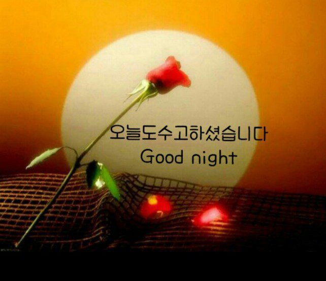 ◆ 당신은 소중한 사람입니다 ◆