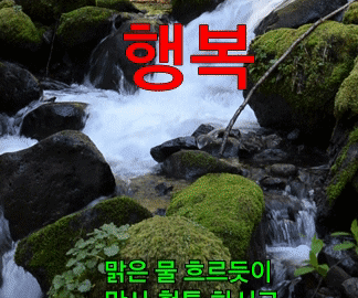 ◆ 하루를 사는 일 ◆