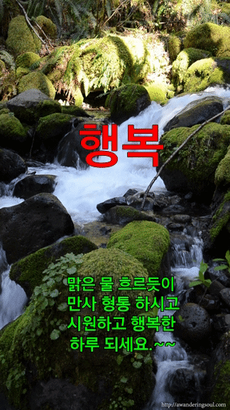 ◆ 하루를 사는 일 ◆