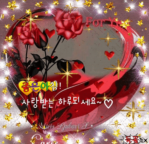 ◆ 오늘은 왠지 ◆