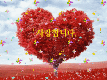 ◆ 마음의 여유가 아름답습니다 ◆