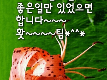 ◆ 살아 있기에 누릴 수 있는 행복 ◆