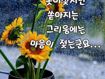 ◆ 당신은 소중한 사람입니다 ◆