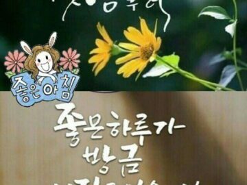 ◆ 三思一言(삼사일언) ◆