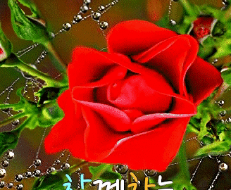 ◆ 사람으로 인하여 ◆