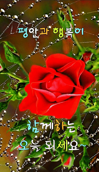 ◆ 사람으로 인하여 ◆