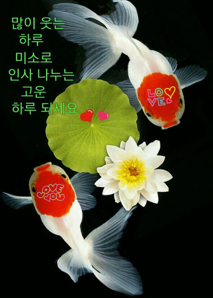 ◆ 그런 사람 ◆