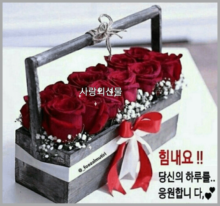 ◆ 나의 인연이 그런 인연이기를 ◆