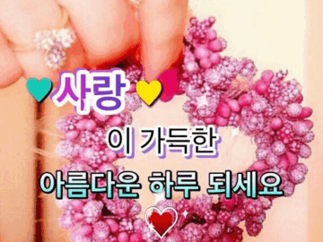 ◆ 행복의 문 ◆