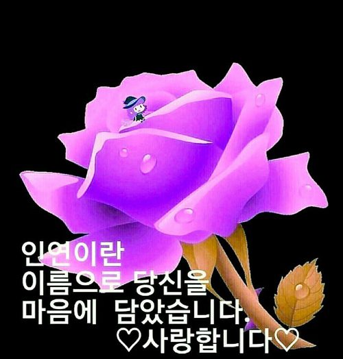 ◆ 마음을 여는 행복 편지 ◆