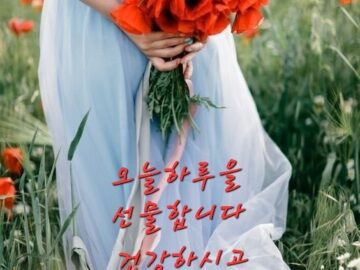 ◆ 아름다운 동반자 ◆