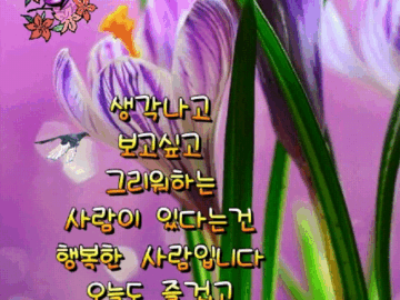 ◆ 아주 가끔 삶에 지쳐 ◆