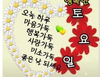 ◆ 미워하지 말고 잊어버려라 ◆