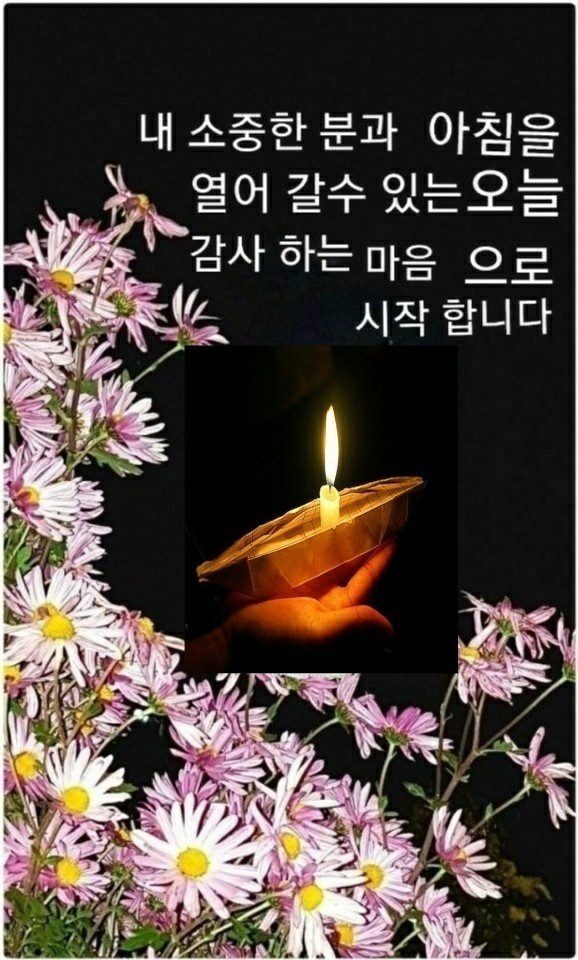 ◆ 모든 것을 다 버리고 떠나갈 인생 ◆