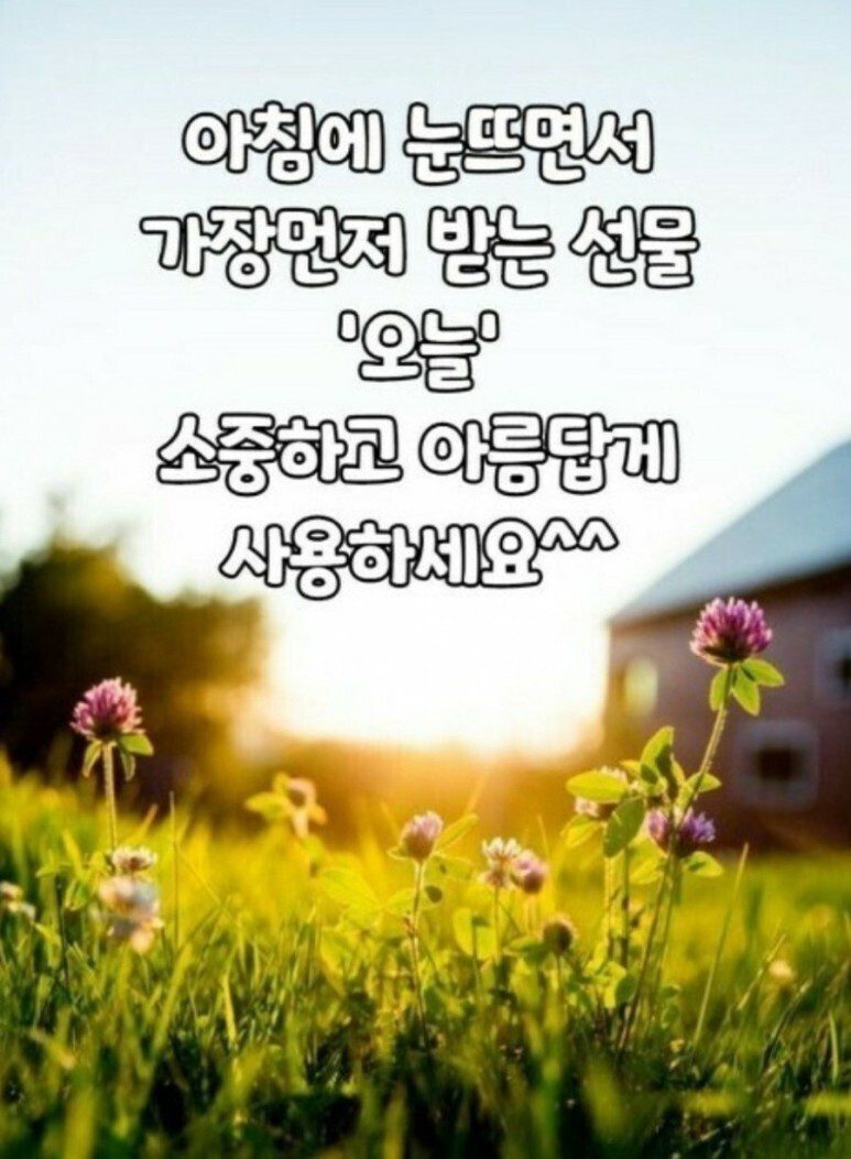 ◆ 아침 이슬과 같은 말 ◆