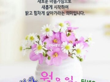 ◆ 삶의 지혜가 묻어나는 글 ◆