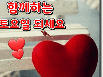 ◆ 1%의 행복 ◆