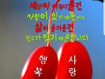 ◆ 우리가 잊고 사는 행복 ◆