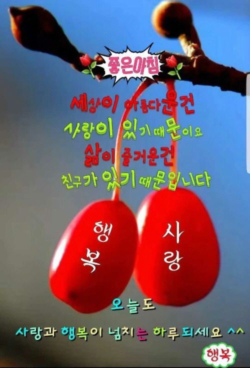 ◆ 우리가 잊고 사는 행복 ◆