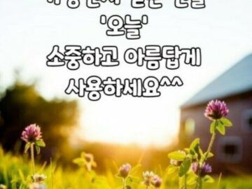 ◆ 마음에 두지 마라 ◆
