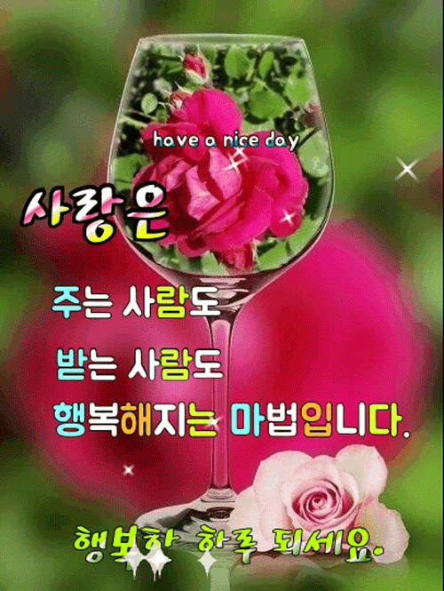 ◆ 오늘만이 내 삶의 전부 ◆