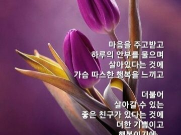 ◆ 행복한 생각이 행복한 말을 만든다 ◆