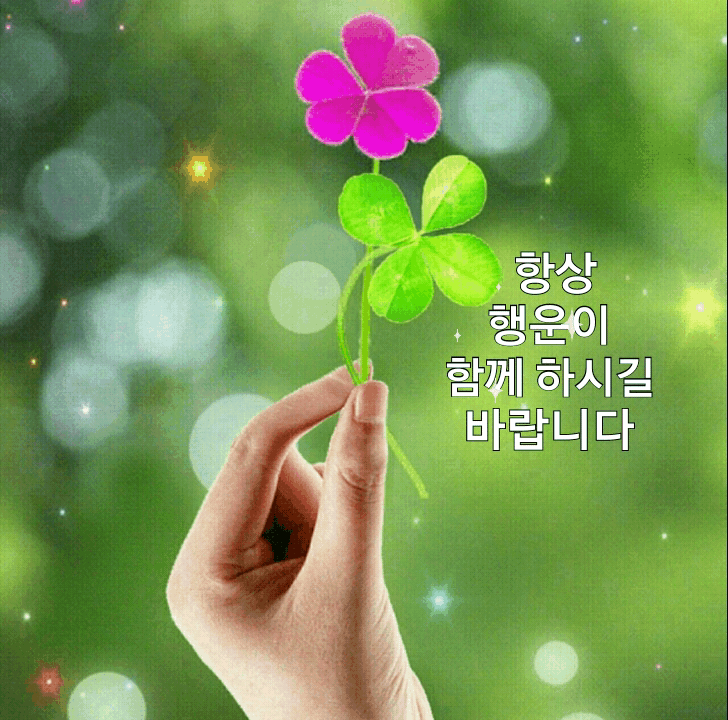 ◆ 오늘을 사랑하라 ◆