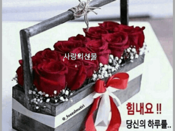 ◆ 소유가 아닌 빈 마음으로 ◆