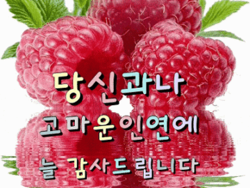 ◆ 내사랑을 어쩌겠습니까 ◆