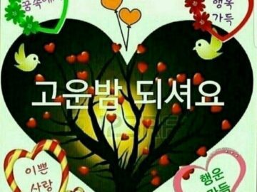 ◆ 바보가 된다는 것 ◆