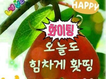 ◆ 쉬어가는 삶 ◆