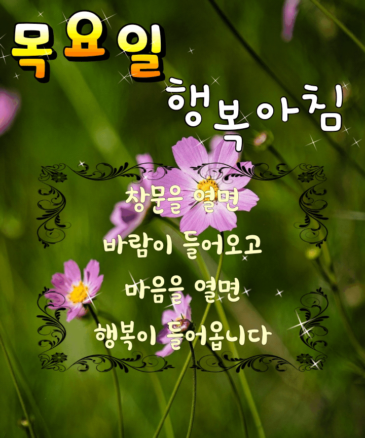 ◆ 지내고 보면 모두가 그리운 것 뿐인데 ◆