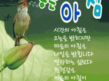 ◆ 하루 살이 ◆