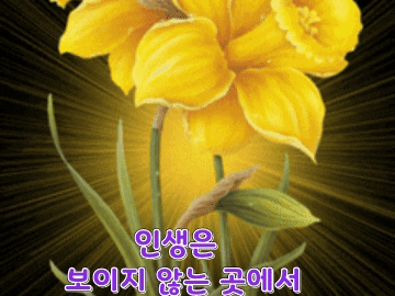 ◆ 세 치의 혓바닥 ◆