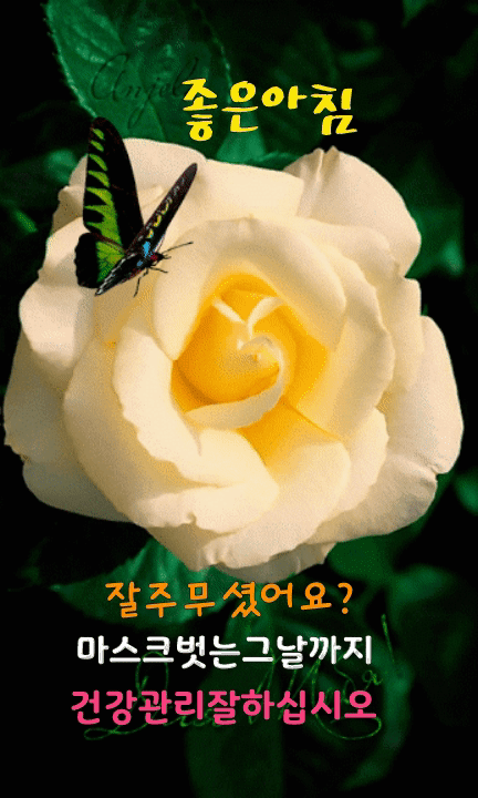 ◆ 잠시 스쳐가는 인연일지라도 ◆