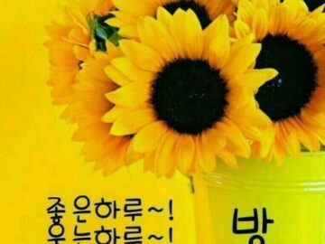 ◆ 선물 같은 좋은 만남 ◆