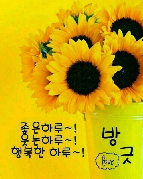 ◆ 선물 같은 좋은 만남 ◆