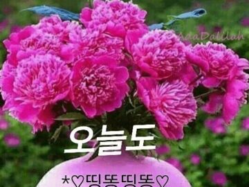 ◆ 괜챦아질 거야 ◆