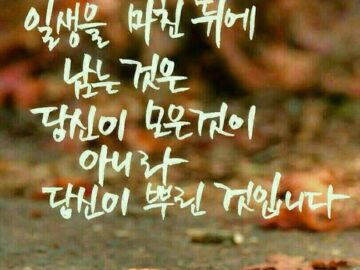 ◆ 모든 것이 나로부터 시작이다 ◆