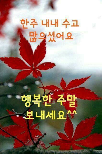 ◆ 지우고 삭제할 줄 아는 지혜 ◆