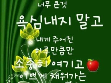 ◆ 그래 그러려니 하고 살자 ◆