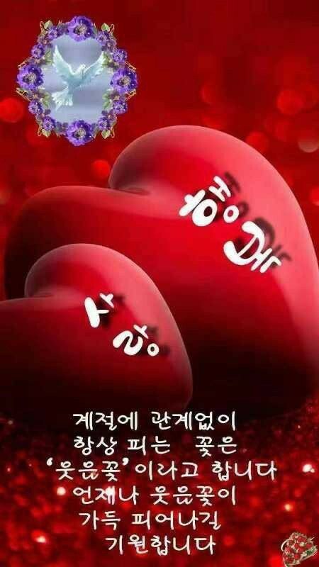 ◆ 사느라 너무나도 애썼다 ◆