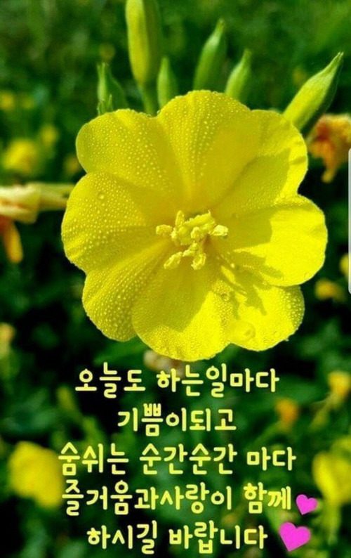 ◆ 공자의 사람을 보는 9가지 지혜 ◆
