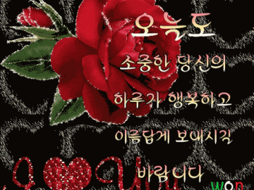 ◆ 후회없이 살다 갑시다 ◆