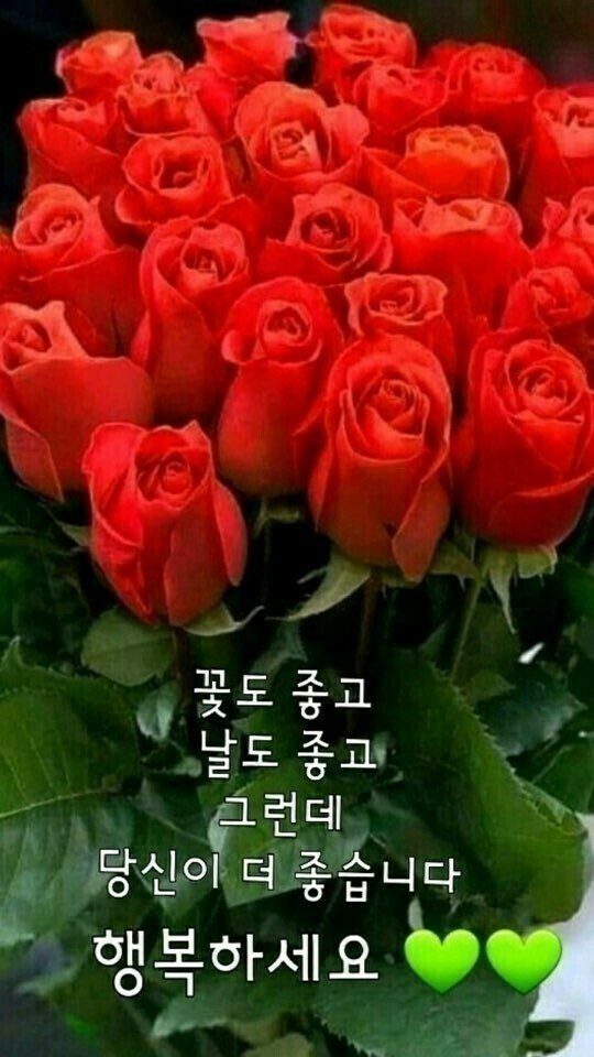 ◆ 멋지게 나이 드는 법 ◆