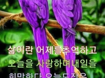 ◆ 서로 위안 되는 사람 ◆