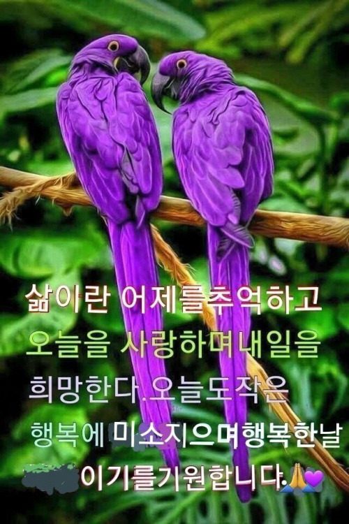 ◆ 서로 위안 되는 사람 ◆
