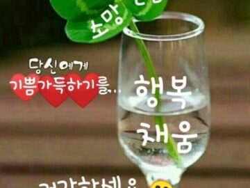 ◆ 그래 그러려니 하고 살자 ◆