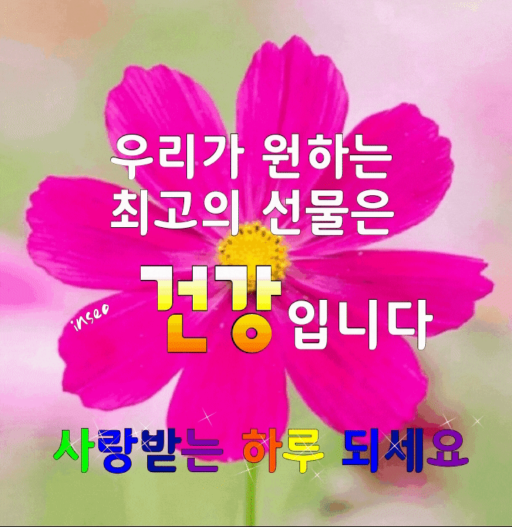 ◆ 오늘을 사랑하라 ◆